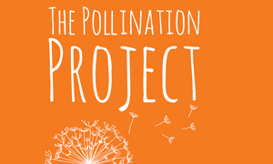 The Pollination Project